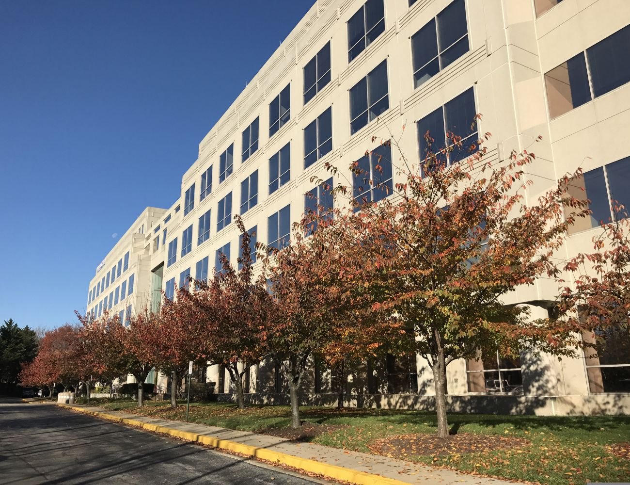 Why Maryland Homeowners Trust Trenchless Sewer Repair for Lasting Results